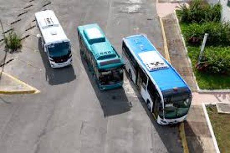 Public Transport Image
